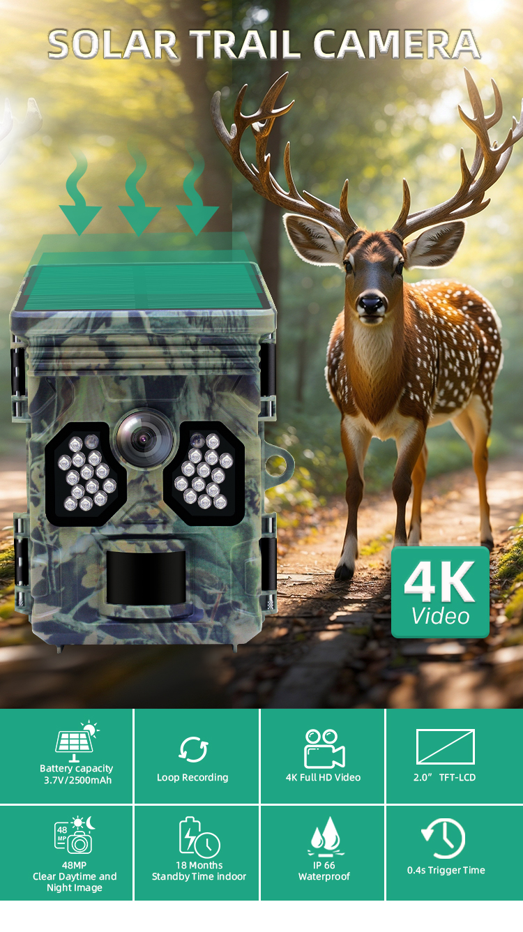 BK-R20 solar panel hunting camera (2)